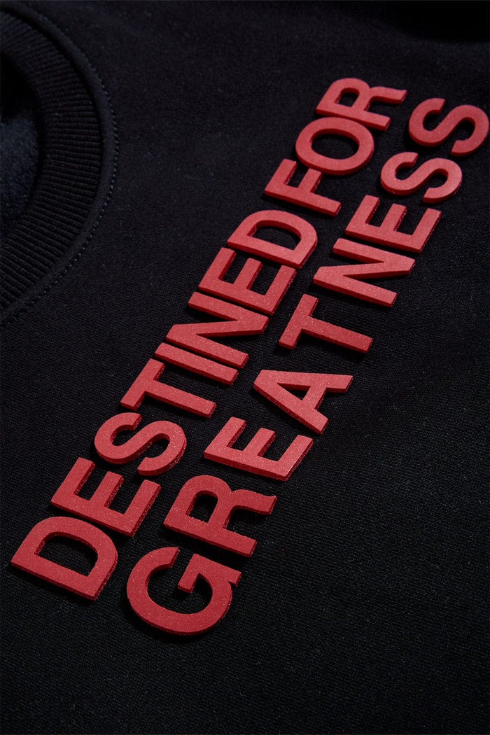 Jordan Craig Kids "Destined For Greatness" Crewneck
