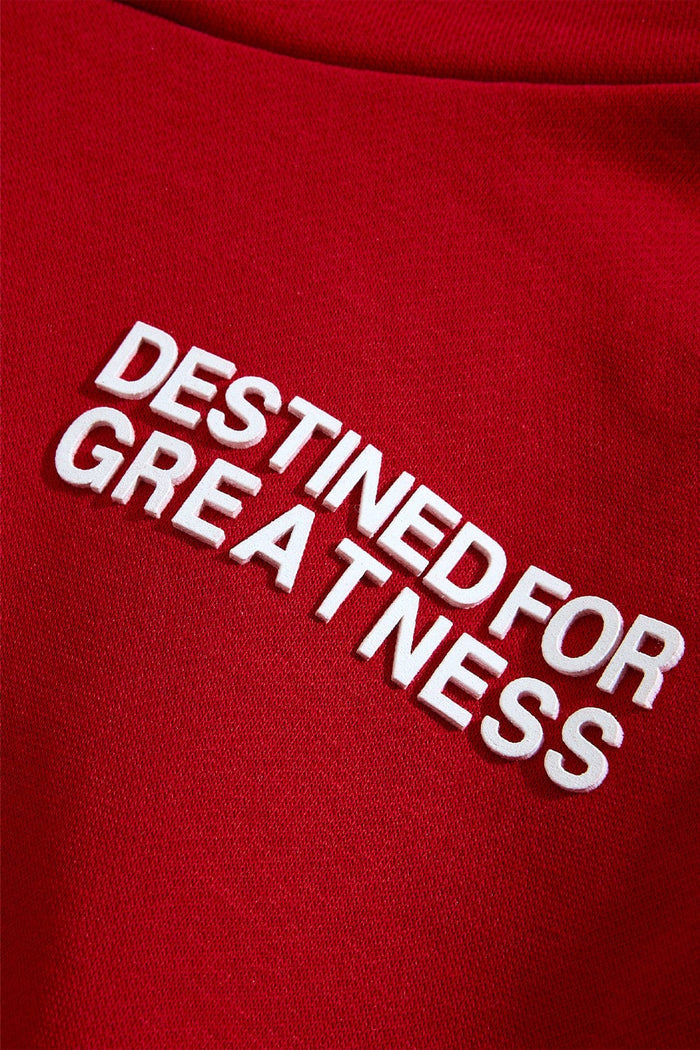 Jordan Craig Kids "Destined For Greatness" Jogging Suit