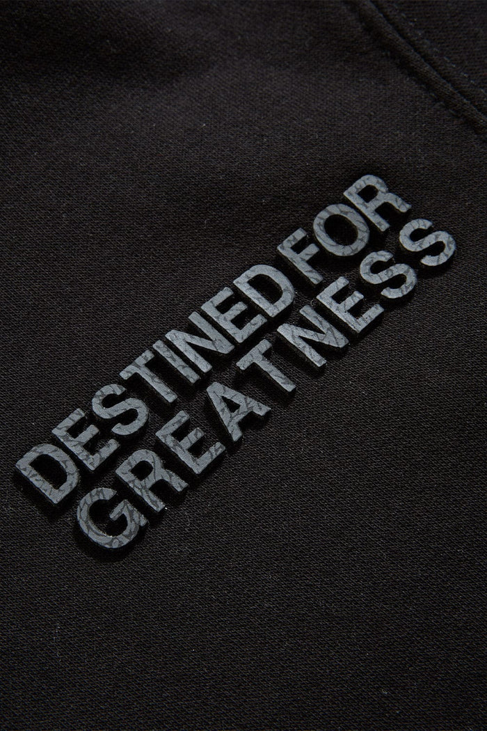 Jordan Craig Kids "Destined For Greatness" Jogging Suit