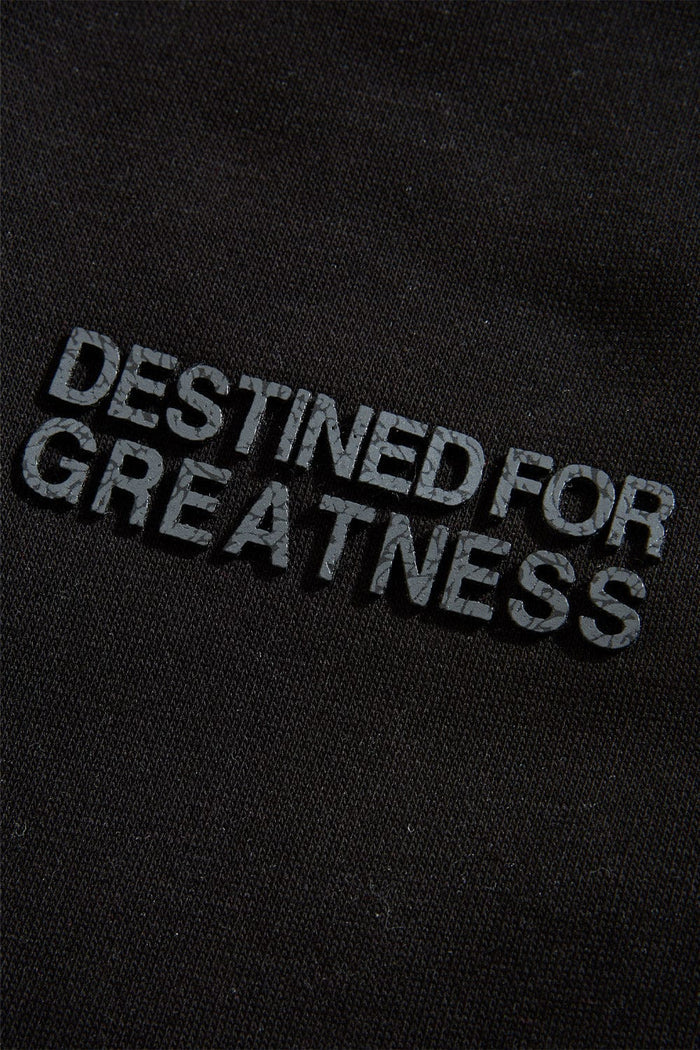 Jordan Craig Kids "Destined For Greatness" Jogging Suit