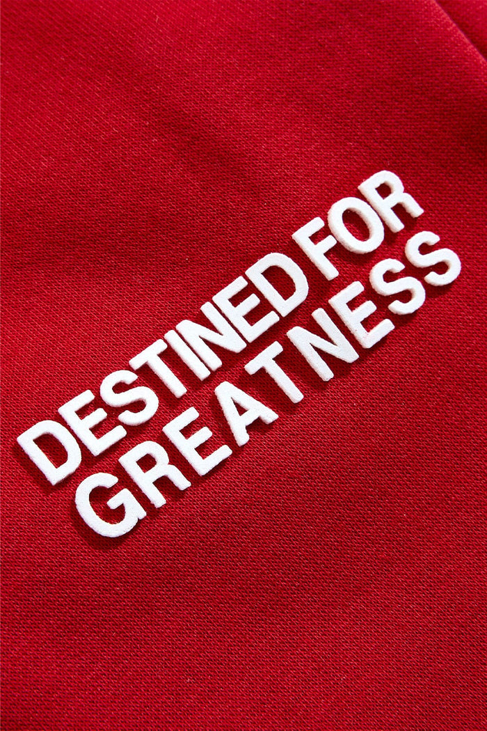 Jordan Craig Kids "Destined For Greatness" Jogging Suit